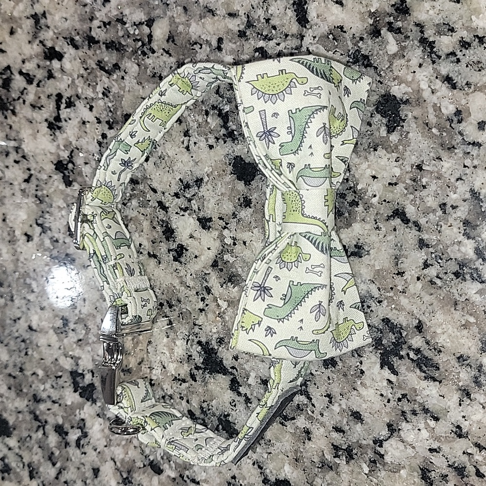 Dinosaur 🦕 🦖 print dog collar with a bow